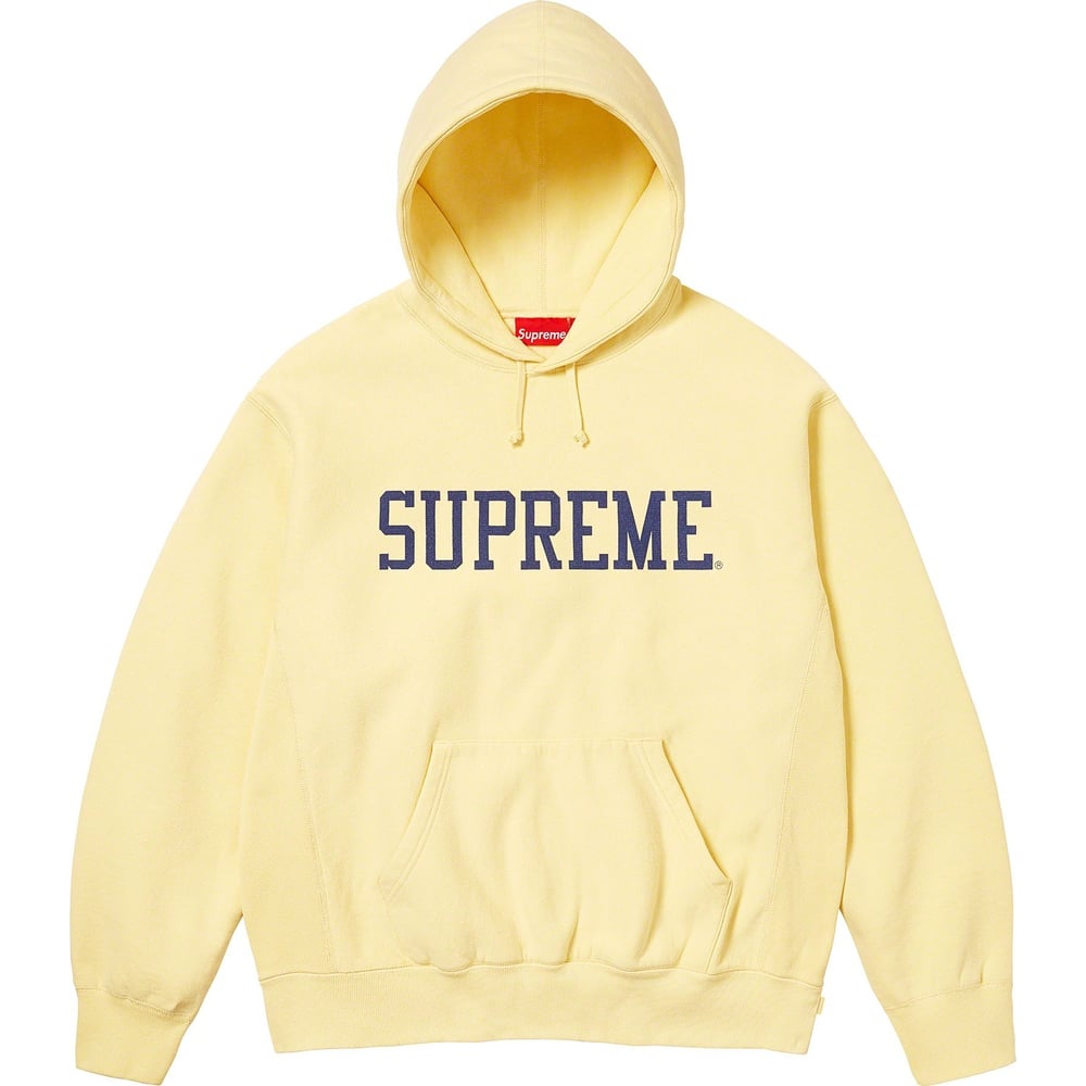 Details on Varsity Hooded Sweatshirt  from fall winter
                                                    2023 (Price is $158)