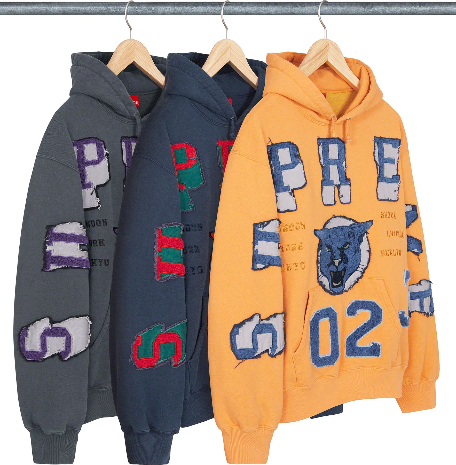 Washed Panther Hooded Sweatshirt - fall winter 2023 - Supreme