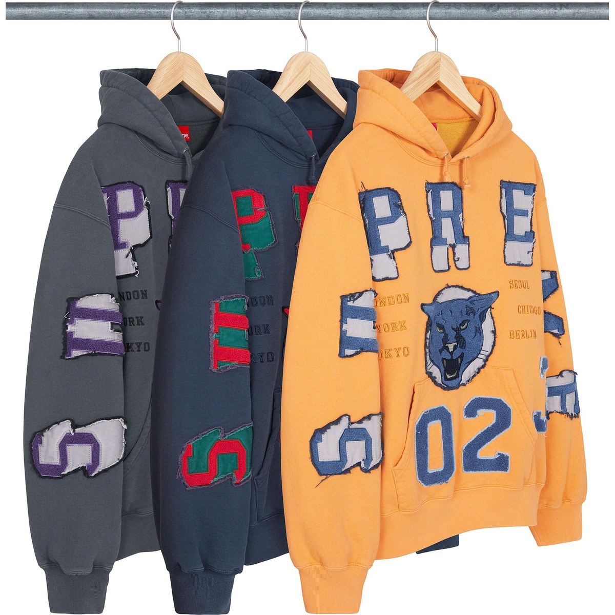 Details on Washed Panther Hooded Sweatshirt from fall winter
                                            2023 (Price is $178)