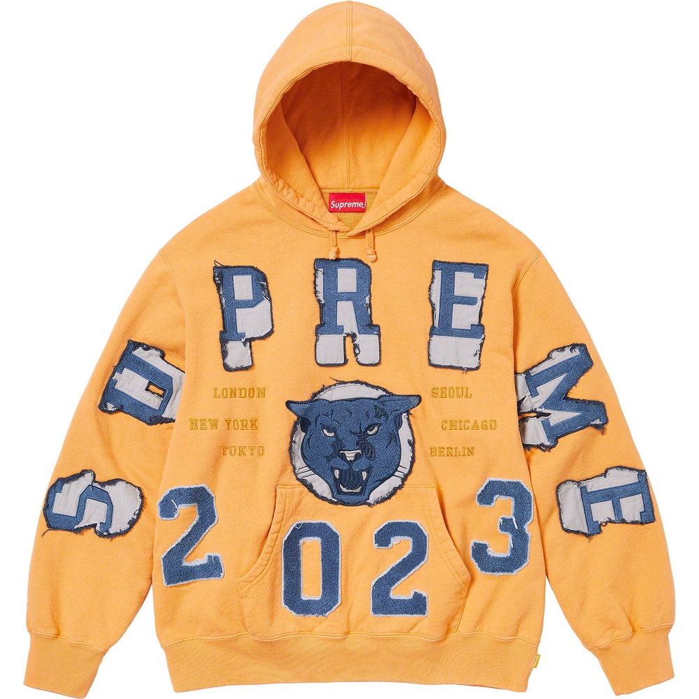 Details on Washed Panther Hooded Sweatshirt  from fall winter
                                                    2023 (Price is $178)