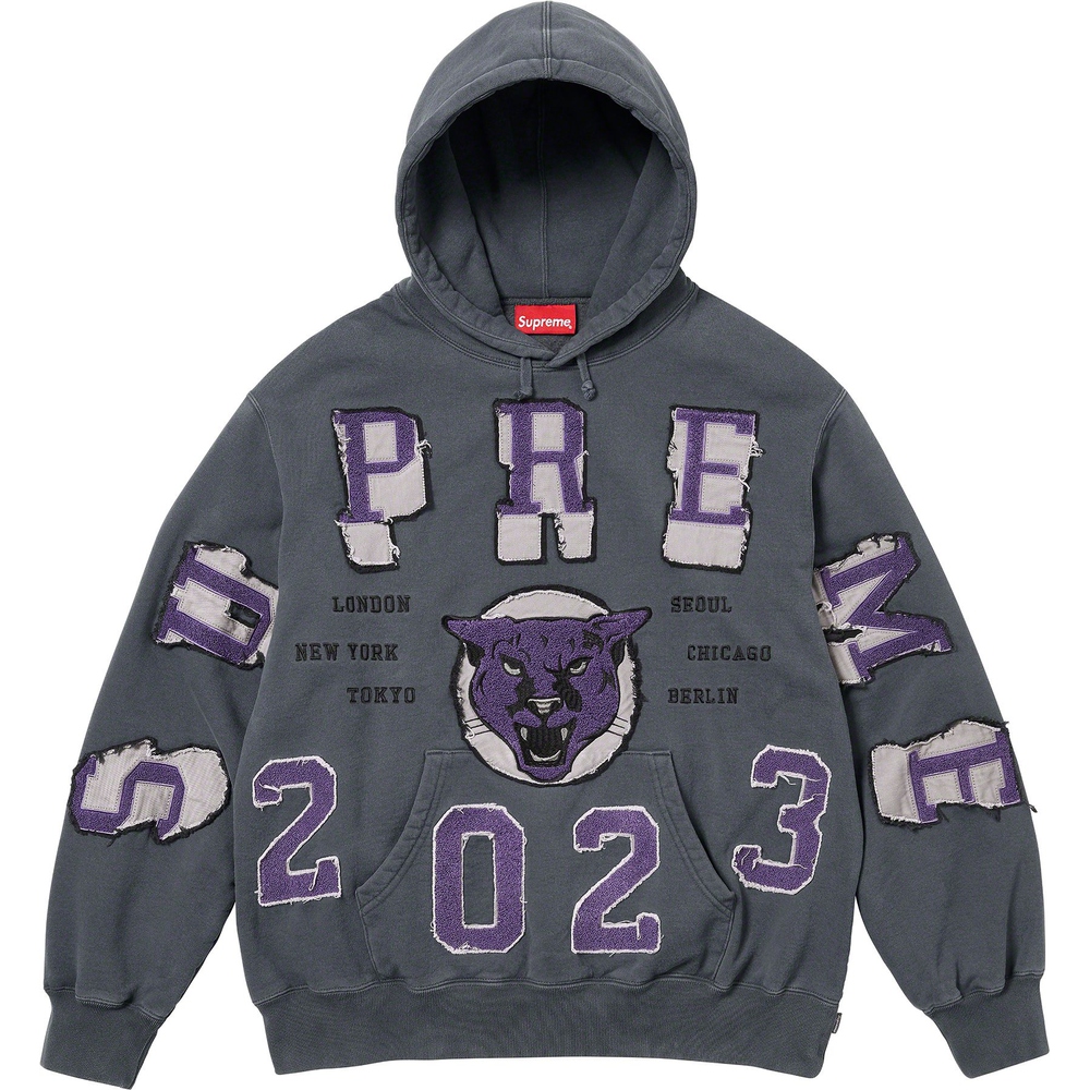 Details on Washed Panther Hooded Sweatshirt  from fall winter
                                                    2023 (Price is $178)