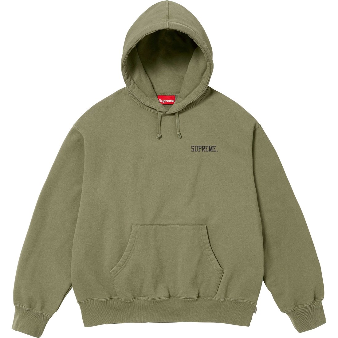 Supreme Anarchy Hooded Sweatshirt (FW24) - Light Olive - $158