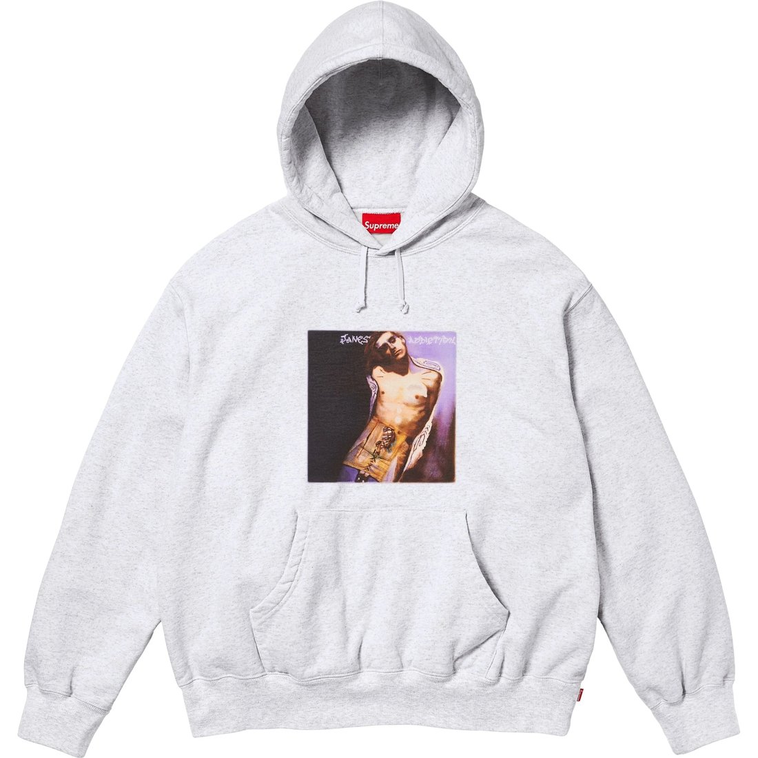 Supreme Jane's Addiction Hooded Sweatshirt (FW24) - Ash Grey - $178