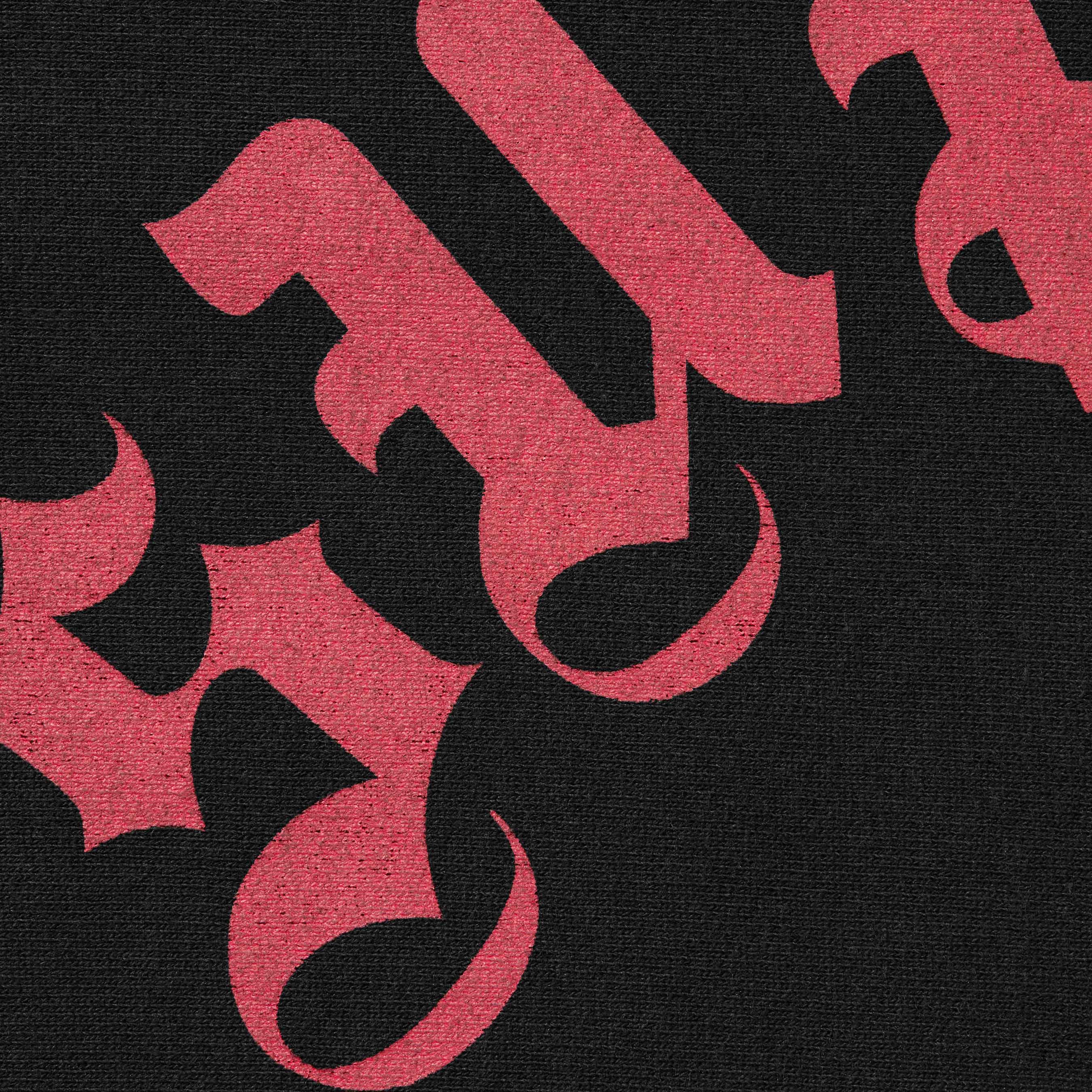 Printed Arc Hooded Sweatshirt fall winter 2024 Supreme