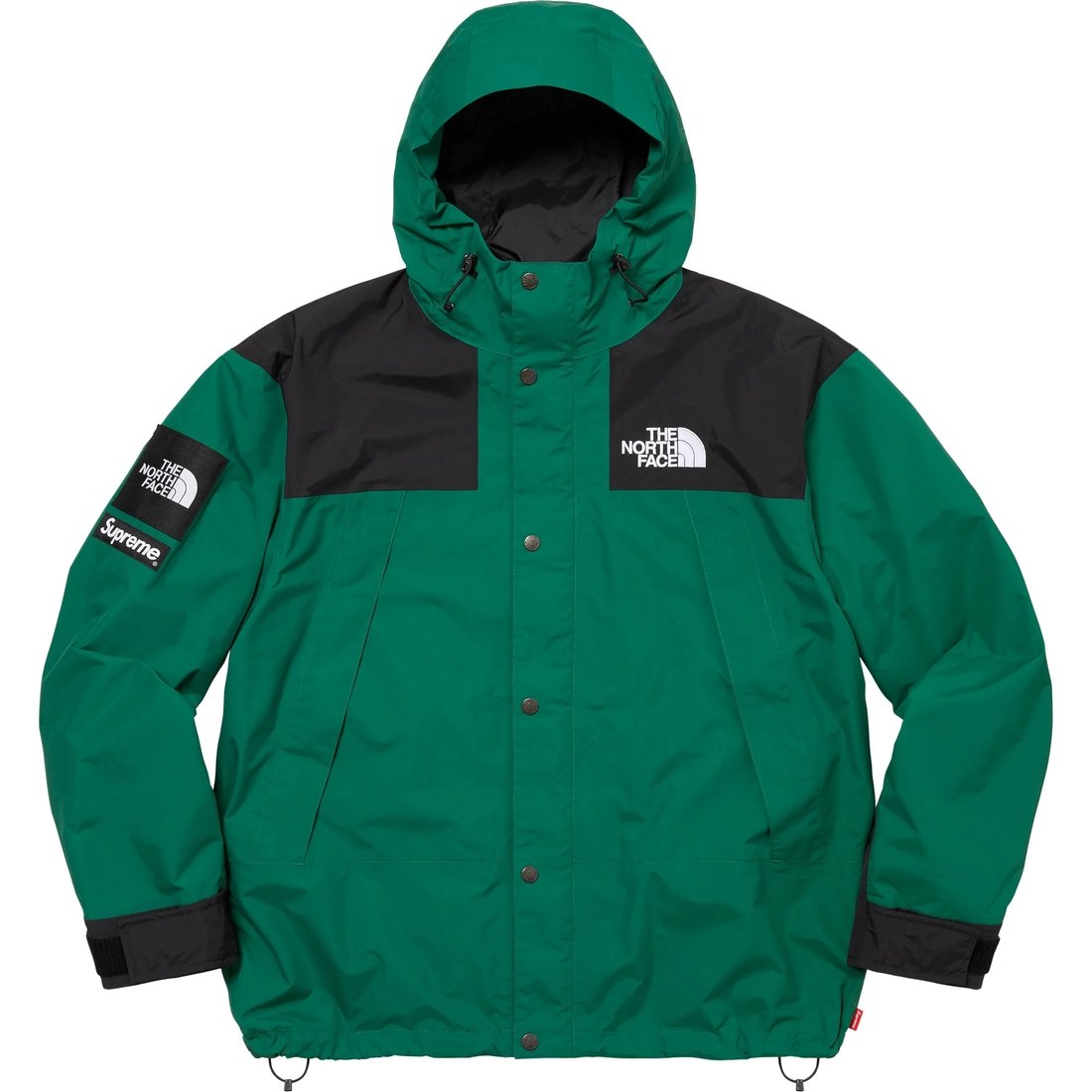 Supreme Supreme The North Face Mountain Jacket (FW24) - Green - $438