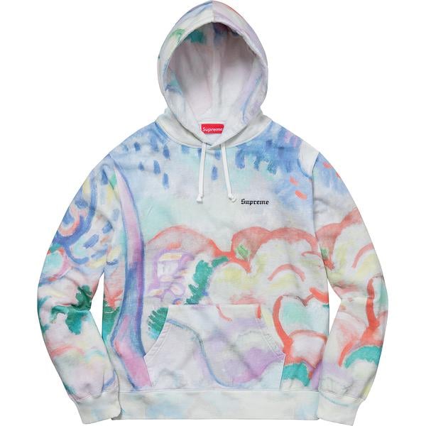 Details on Landscape Hooded Sweatshirt from spring summer
                                            2018 (Price is $178)