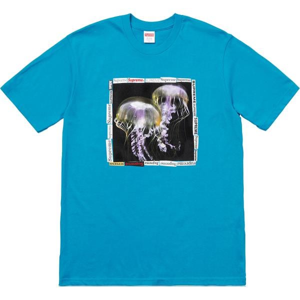 Details on Jellyfish Tee from spring summer 2018 (Price is $36)