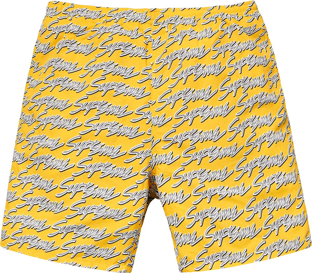 Signature Script Logo Water Short - spring summer 2019 - Supreme