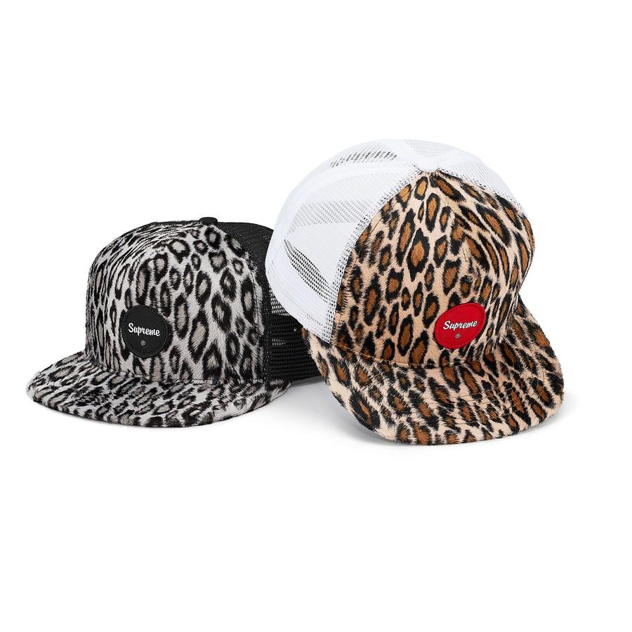 Details on Leopard Mesh Back 5-Panel from spring summer
                                            2020 (Price is $44)