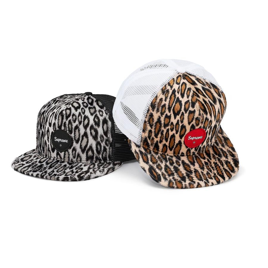 Supreme Leopard Mesh Back 5-Panel for spring summer 20 season