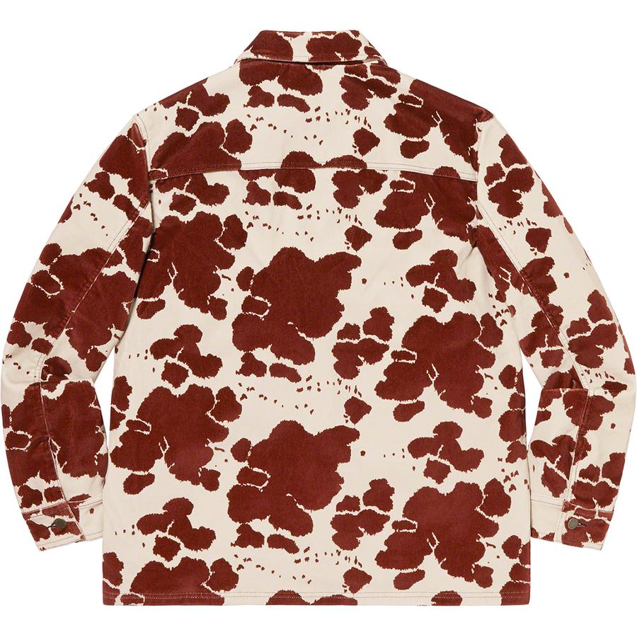 Details on Velvet Chore Coat  from spring summer 2020 (Price is $198)