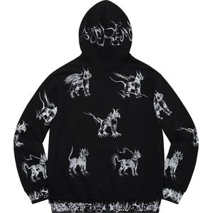 supreme x tnf mountain jacket