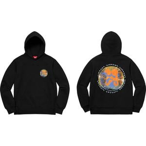 supreme embryo hoodie