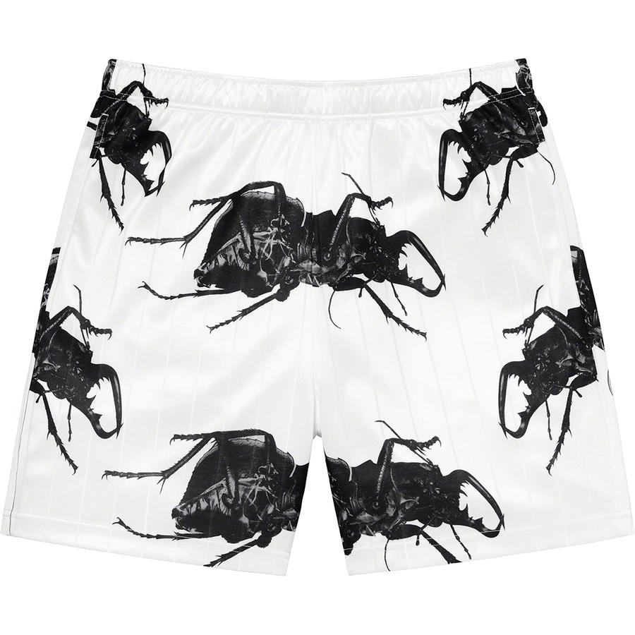 Details on Beetle Short  from spring summer
                                                    2021 (Price is $118)