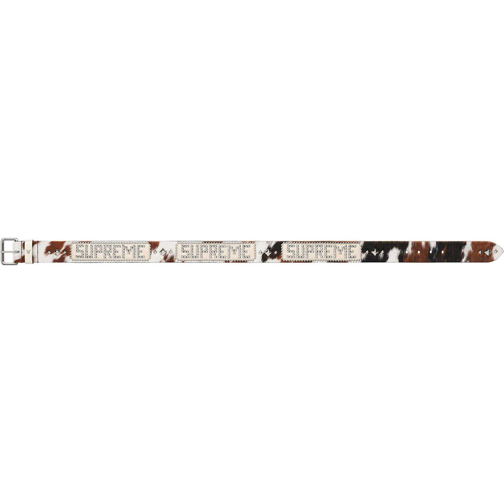 Details on Supreme Hollywood Trading Company Studded Belt  from spring summer
                                                    2023 (Price is $268)