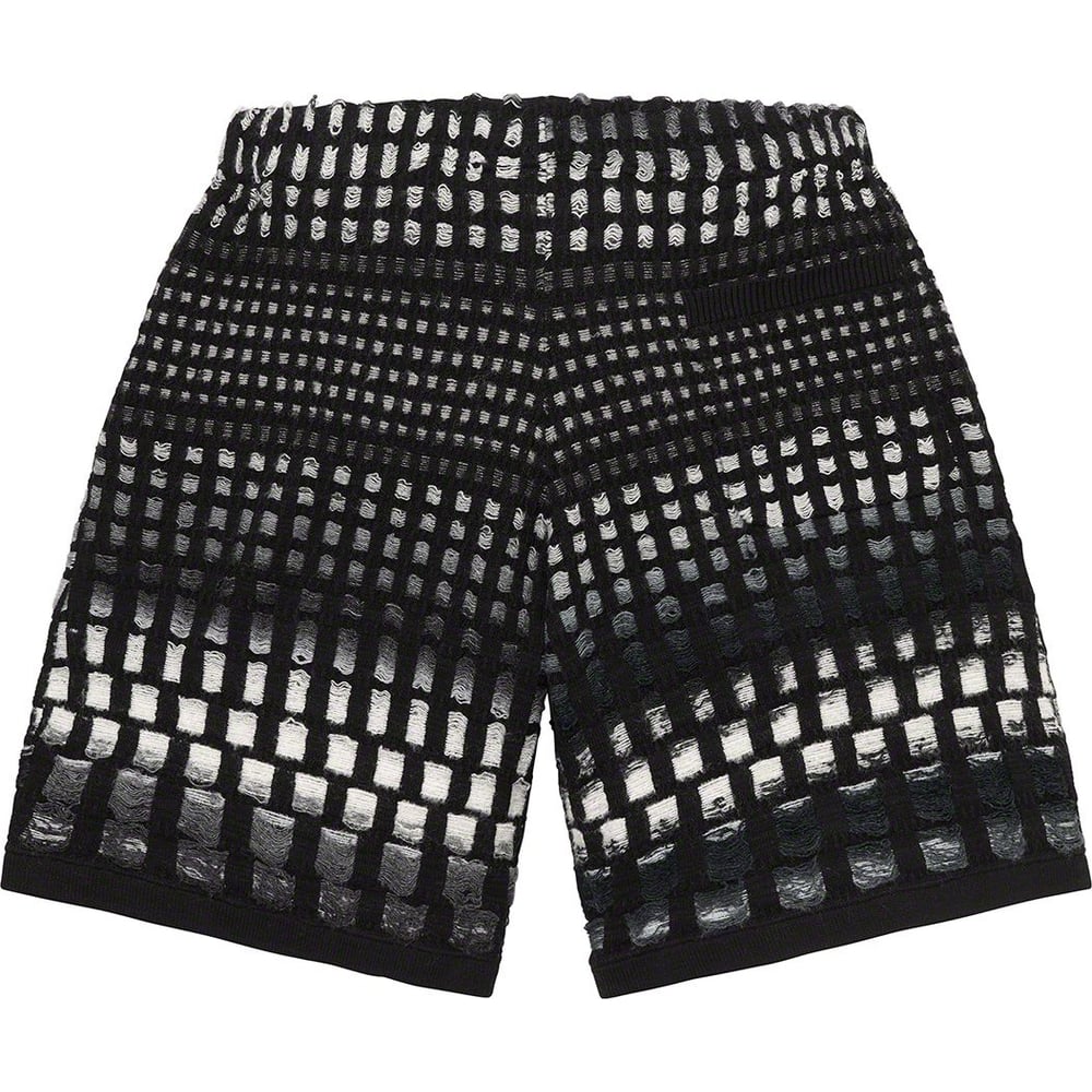 Details on Gradient Grid Knit Short [hidden] from spring summer 2023 (Price is $138)