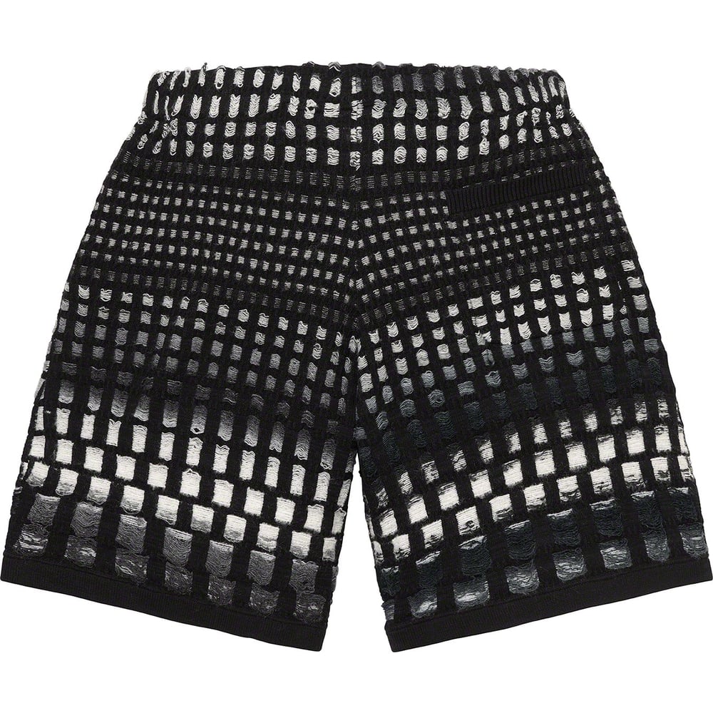 Details on Gradient Grid Knit Short [hidden] from spring summer
                                                    2023 (Price is $138)