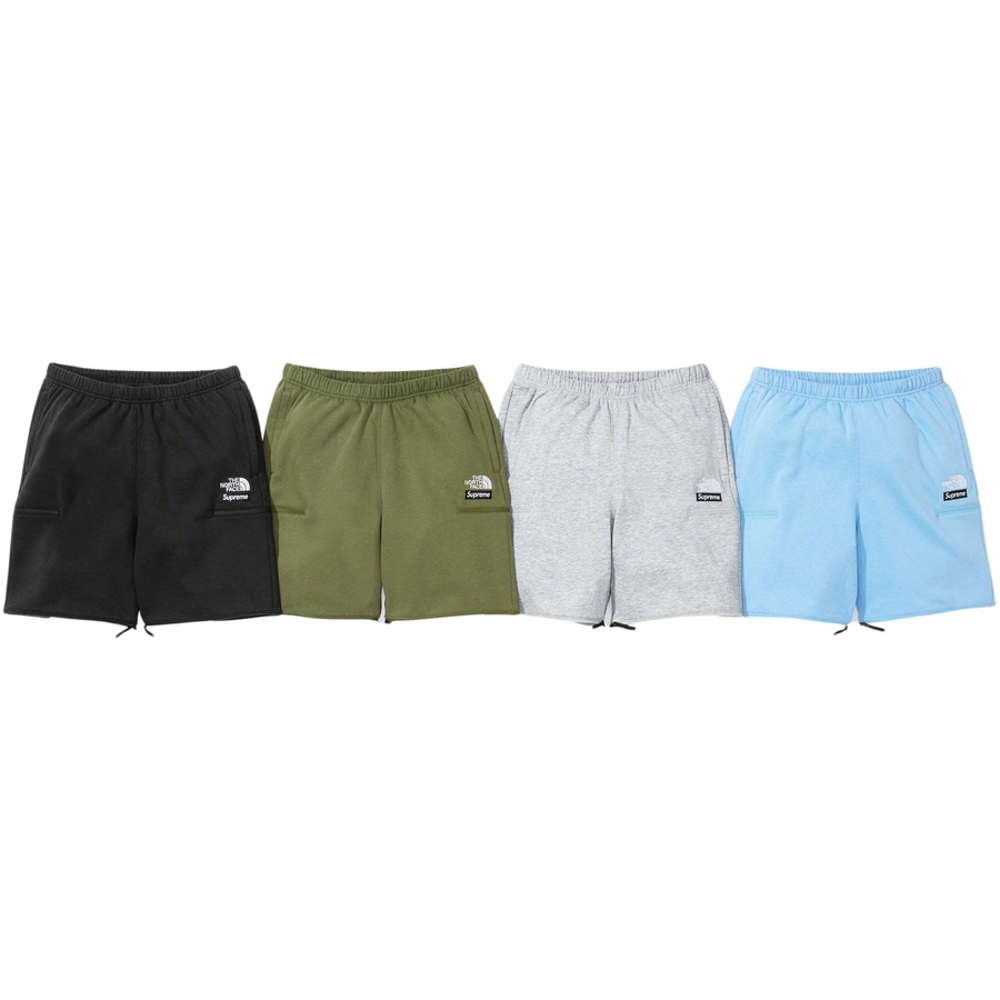 Details on [CHECK] Supreme The North Face   from spring summer 2023
