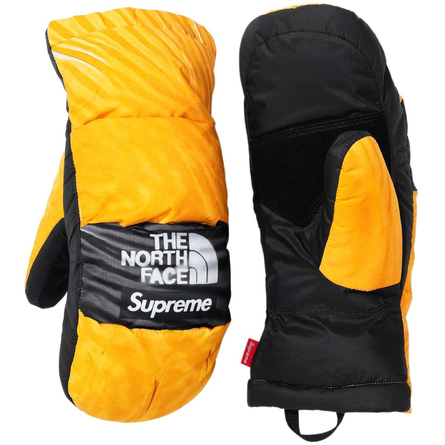 Details on Supreme The North Face Trompe L’oeil Printed Montana Mitt  from spring summer
                                                    2023 (Price is $98)