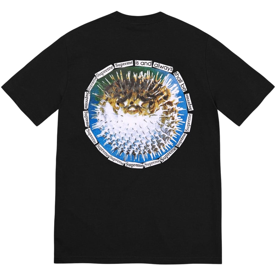 Details on Blowfish Tee from spring summer
                                            2023 (Price is $40)