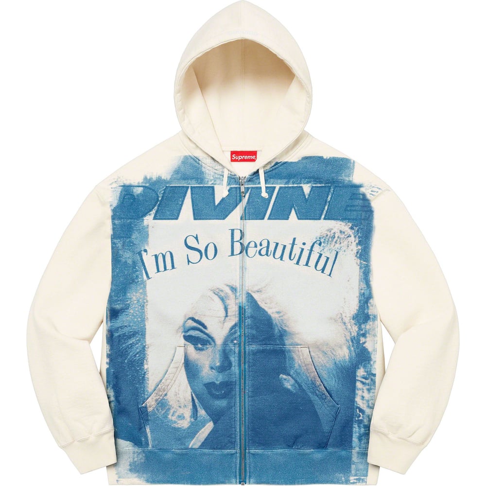 Details on Divine Zip Up Hooded Sweatshirt  from spring summer 2023 (Price is $188)