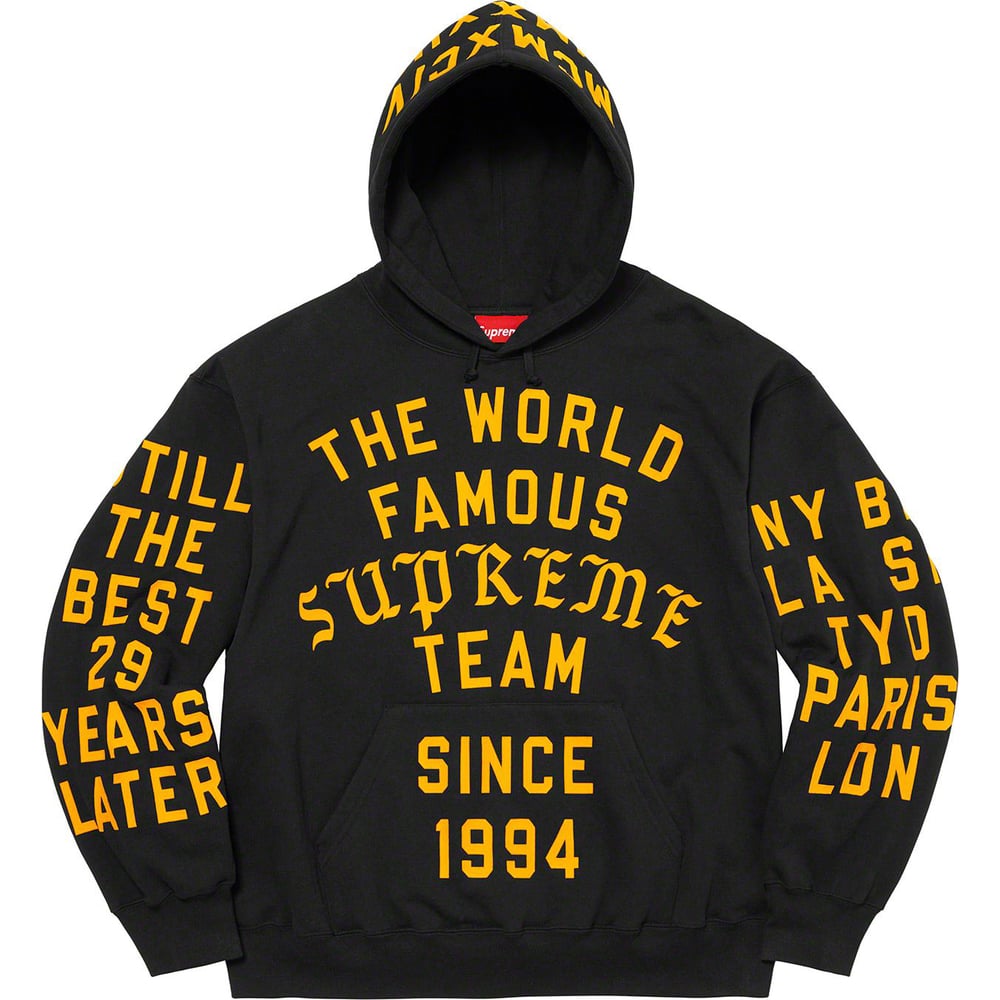 【TWICEモモ着用】Supreme Team Flocked Hooded M