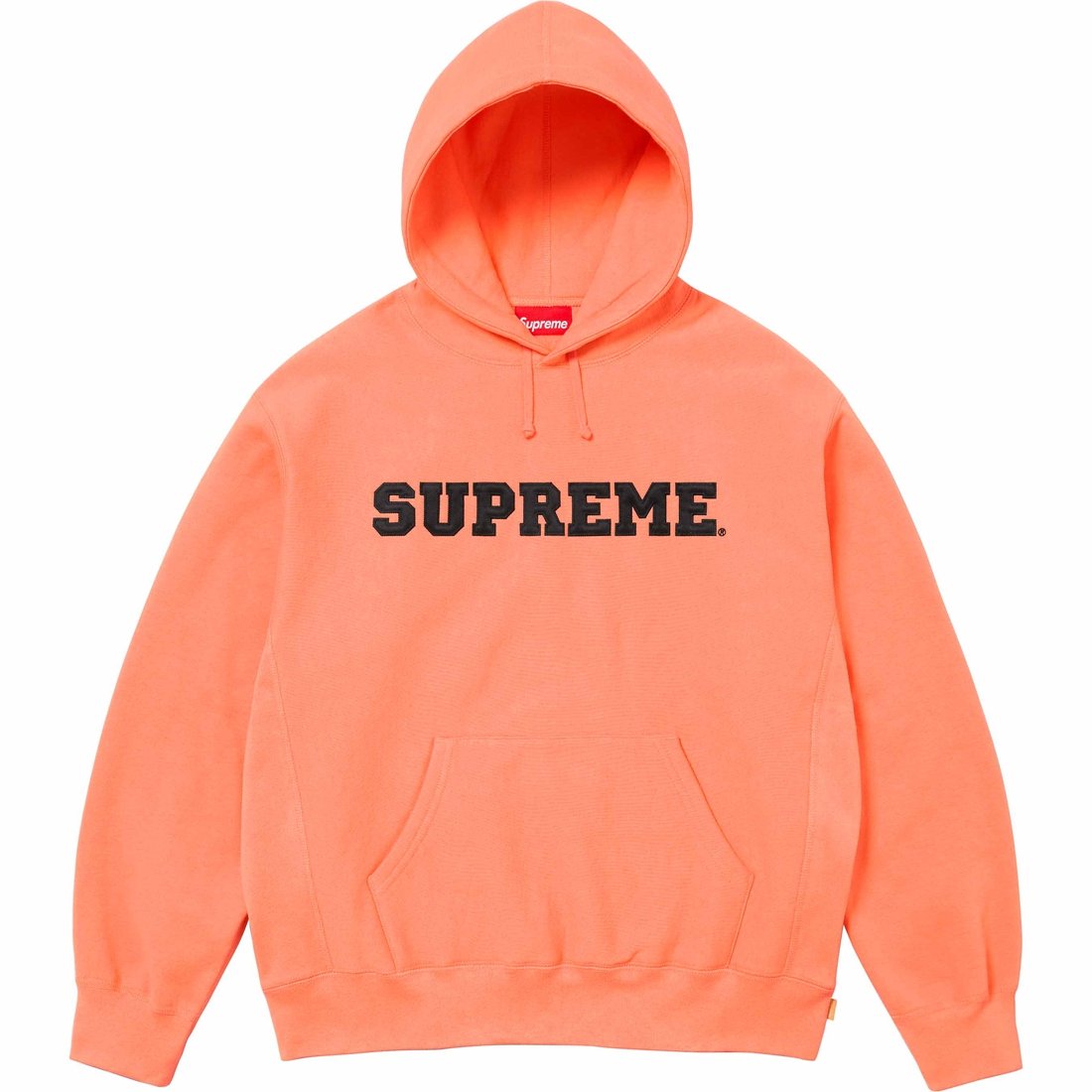 Details on Collegiate Hooded Sweatshirt Peach from spring summer
                                                    2024 (Price is $158)