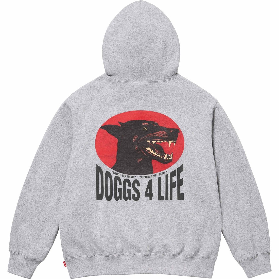 Details on Doggs Hooded Sweatshirt Heather Grey from spring summer
                                                    2024 (Price is $158)