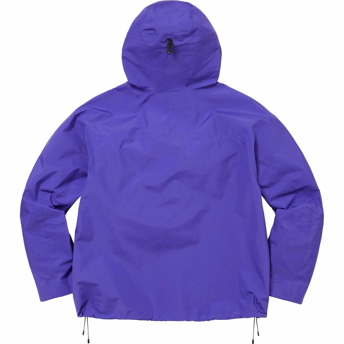 Details on GORE-TEX Taped Seam Shell Jacket Purple from spring summer
                                                    2024 (Price is $398)