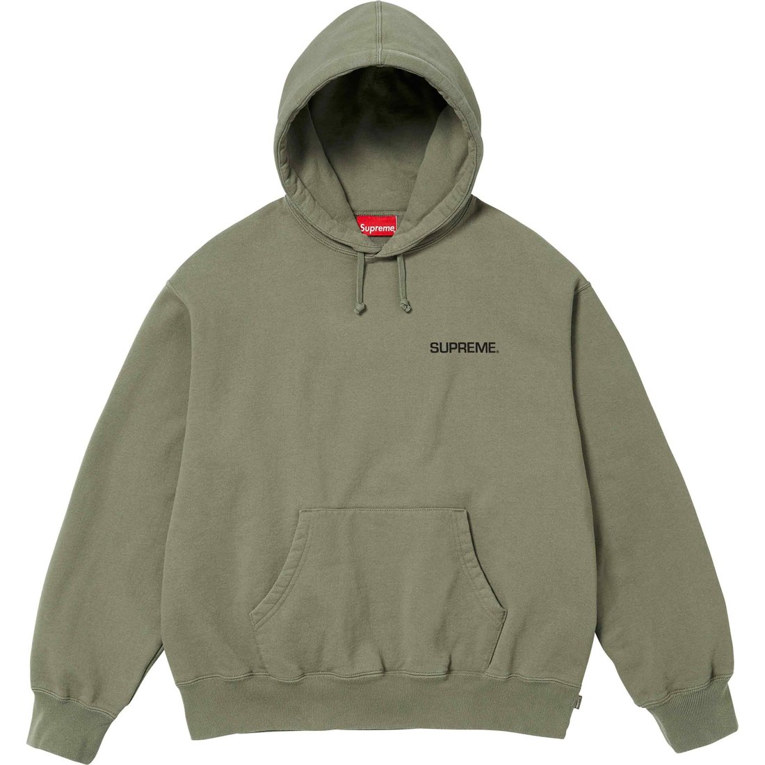 Details on Immortal Hooded Sweatshirt Light Olive from spring summer
                                                    2024 (Price is $158)