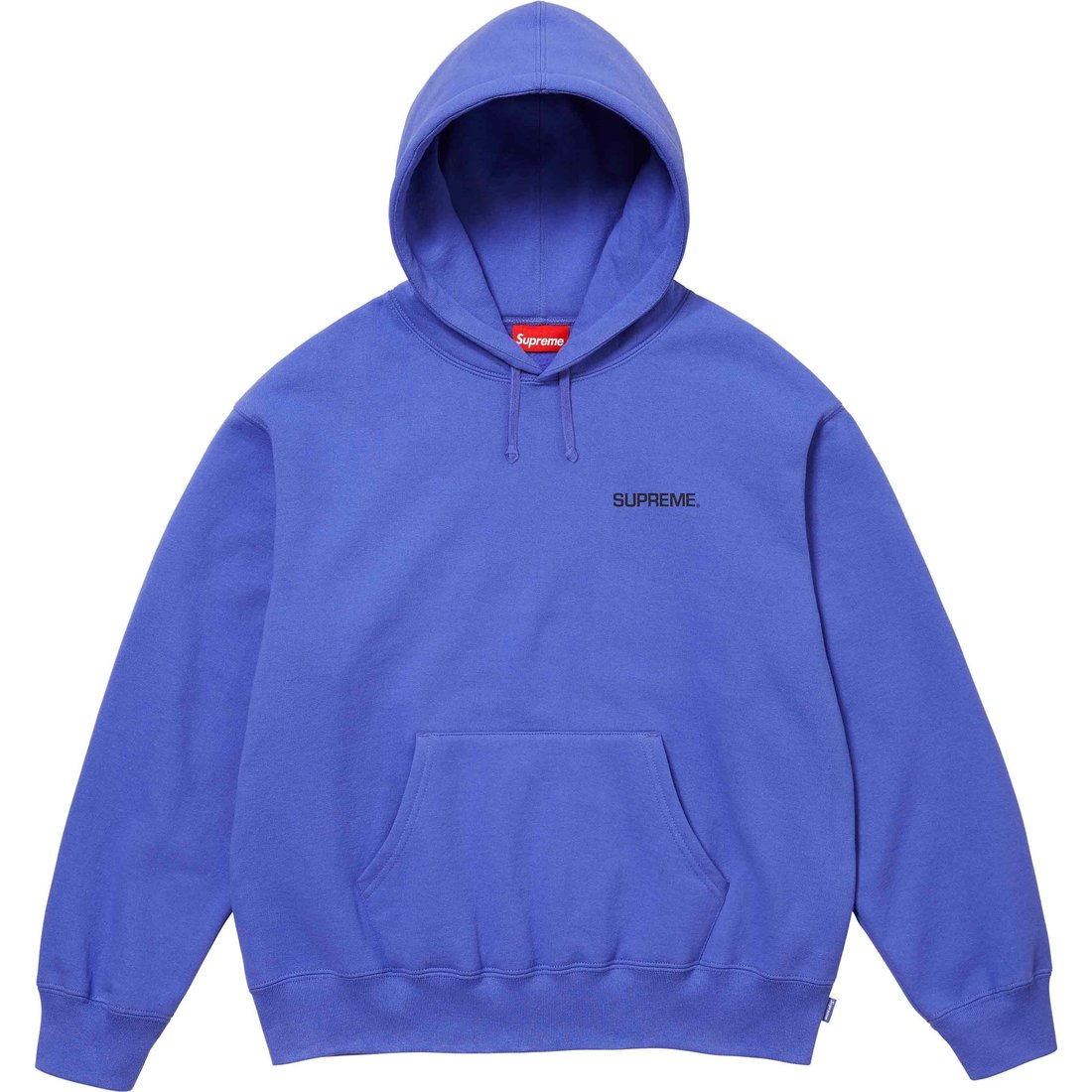 Details on Immortal Hooded Sweatshirt Violet from spring summer
                                                    2024 (Price is $158)