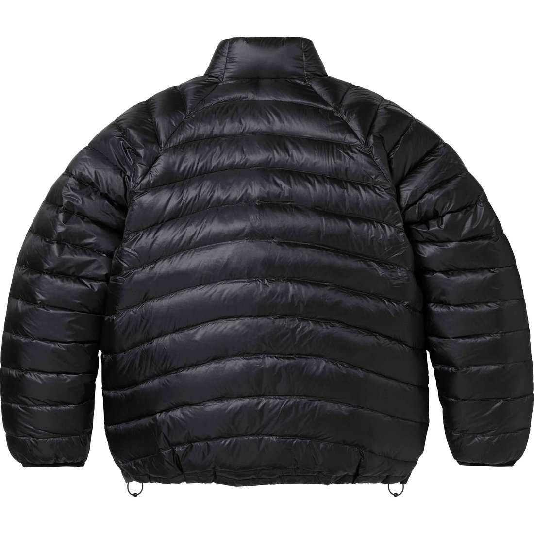 Details on Micro Down Jacket Black from spring summer
                                                    2024 (Price is $248)
