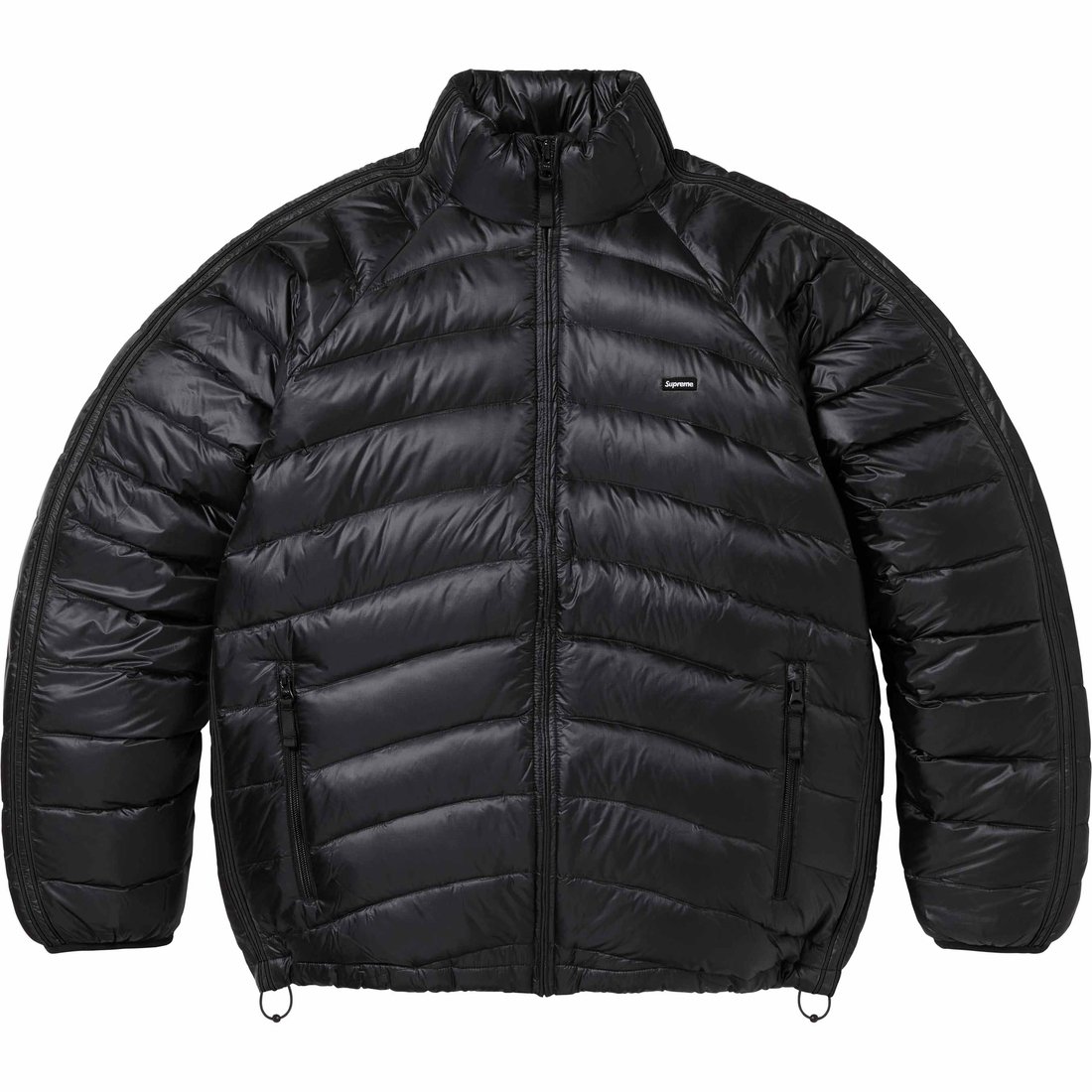 Details on Micro Down Jacket Black from spring summer
                                                    2024 (Price is $248)