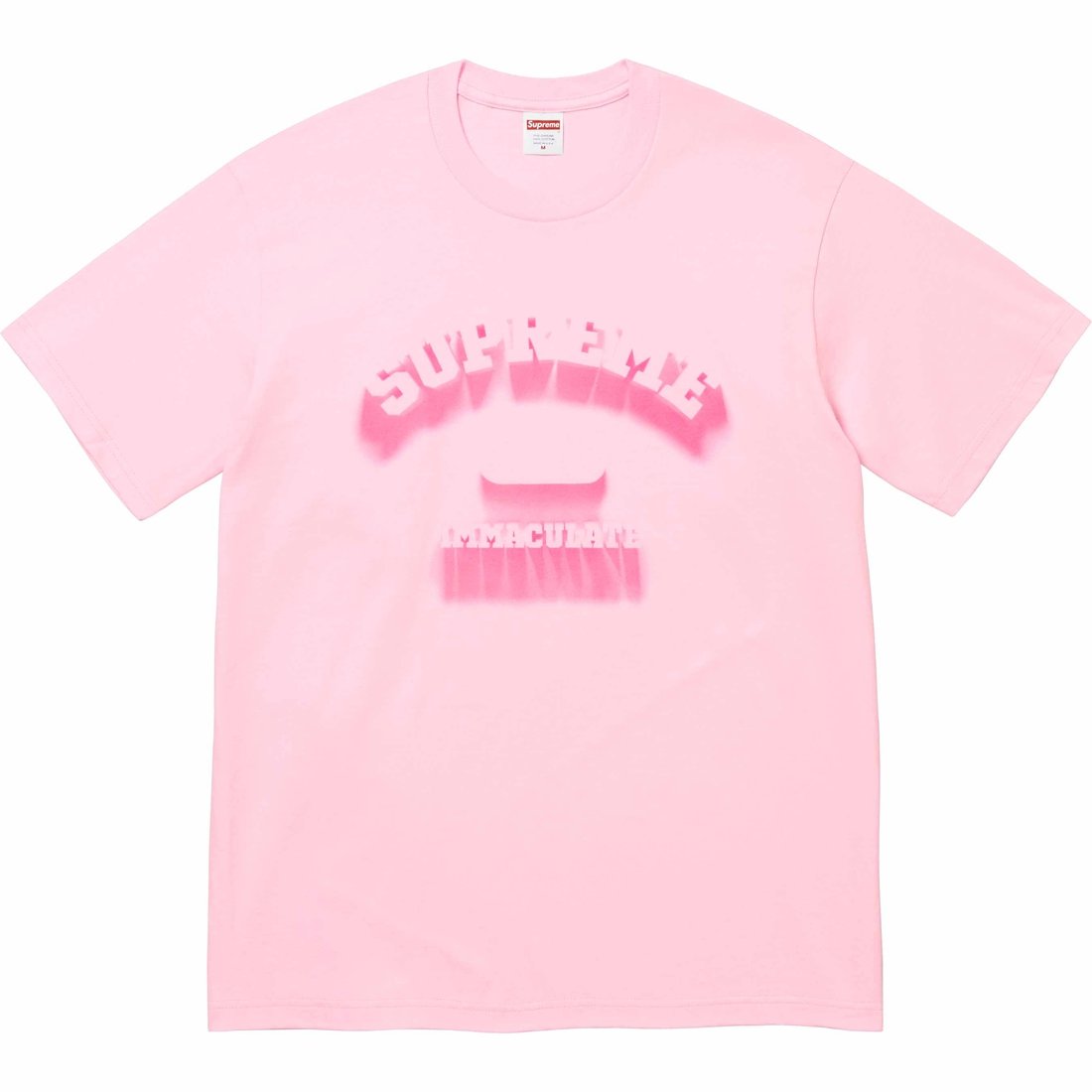 Details on Shadow Tee Light Pink from spring summer
                                                    2024 (Price is $40)