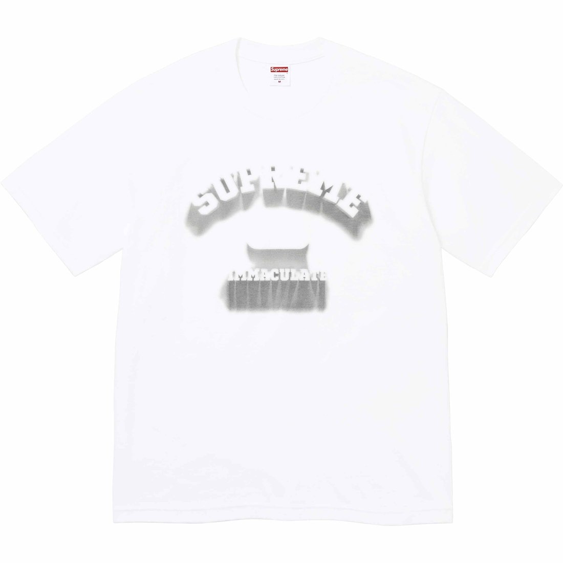 Details on Shadow Tee White from spring summer
                                                    2024 (Price is $40)