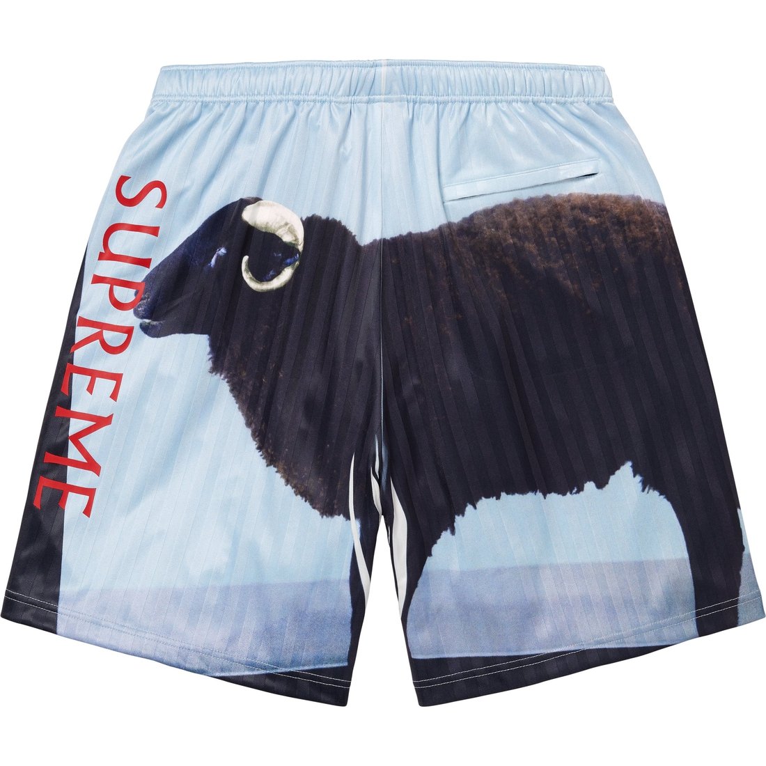 Supreme Supreme Damien Hirst Soccer Short (SS25) - Black - $128