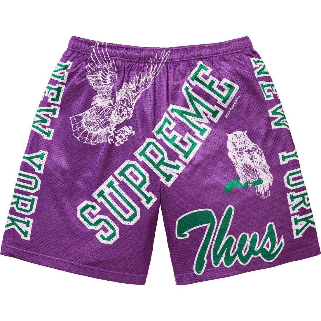 Supreme Varsity Mesh Short (SS25) - Purple - $110