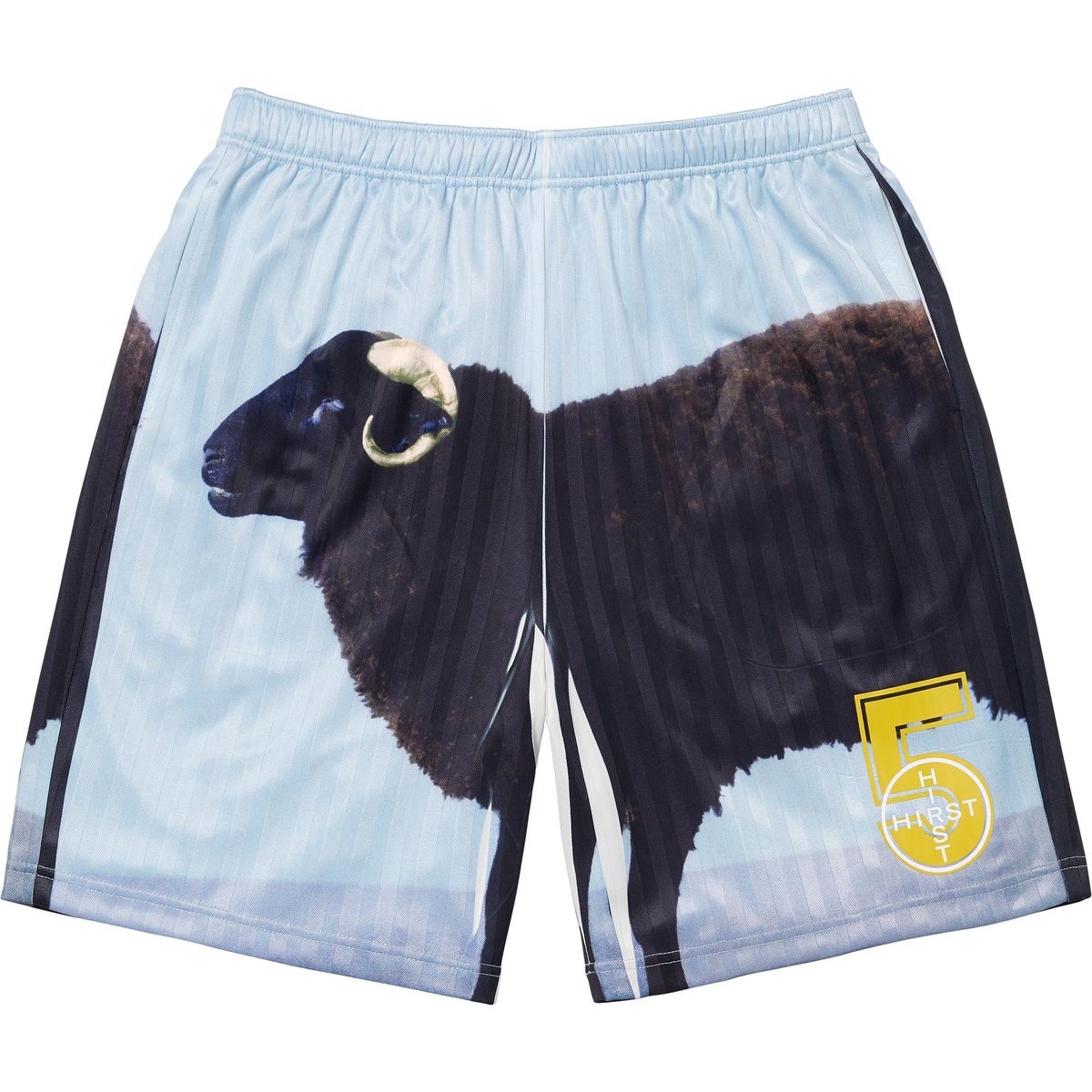 Supreme Supreme Damien Hirst Soccer Short (SS25) - Black