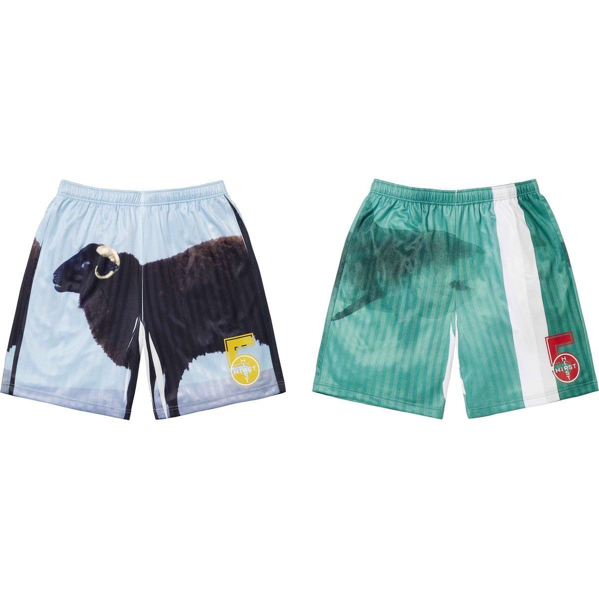 Supreme Supreme Damien Hirst Soccer Short (SS25) - Group Shots