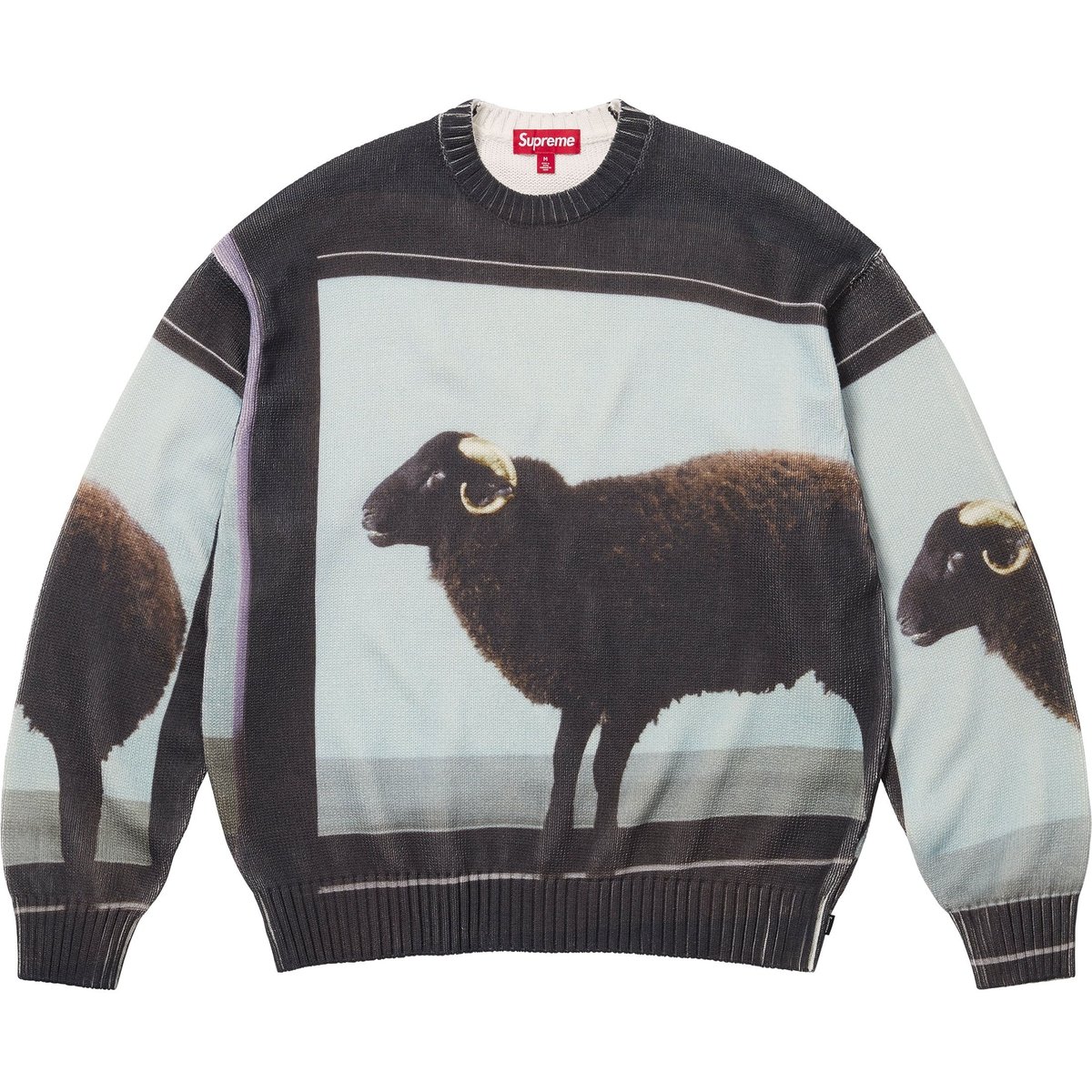 Supreme Supreme Damien Hirst Sweater released during spring summer 25 season